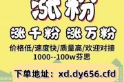 惊爆！dy业务低价自助下单平台网，真能秒到账还超低价？
