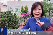 24小时快手下单平台便宜,抖音粉丝神器免费版:是否已经开始内卷？