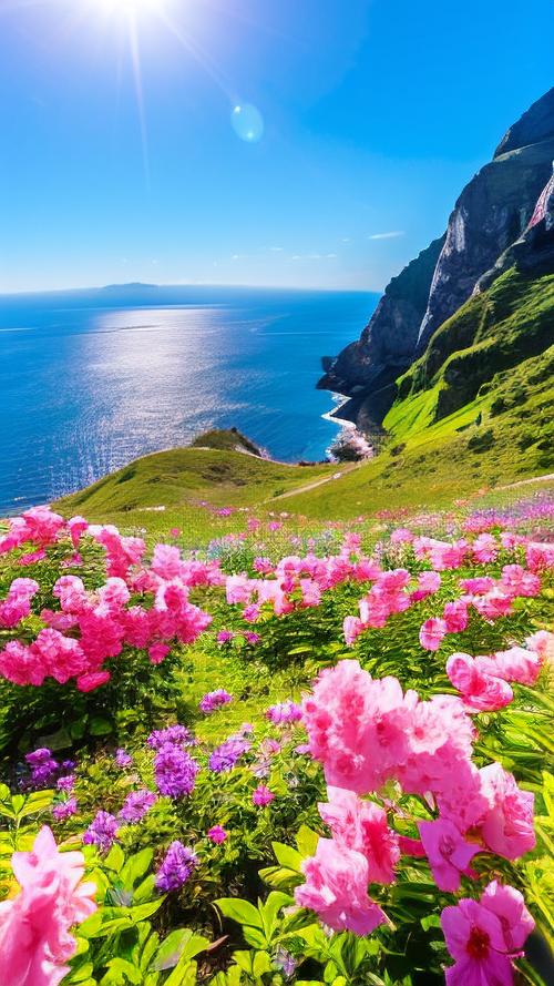 壁纸图片——你用过最好看的壁纸有哪些