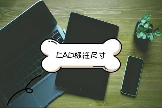 迅捷cad图库？迅捷CAD看图中的图纸怎么进行局部放大查看
