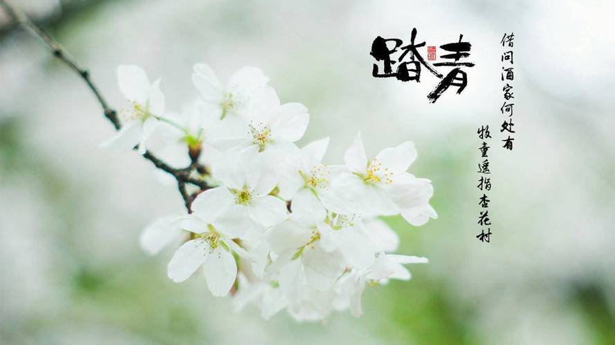 抖音粉丝卡盟自助平台-来点赞