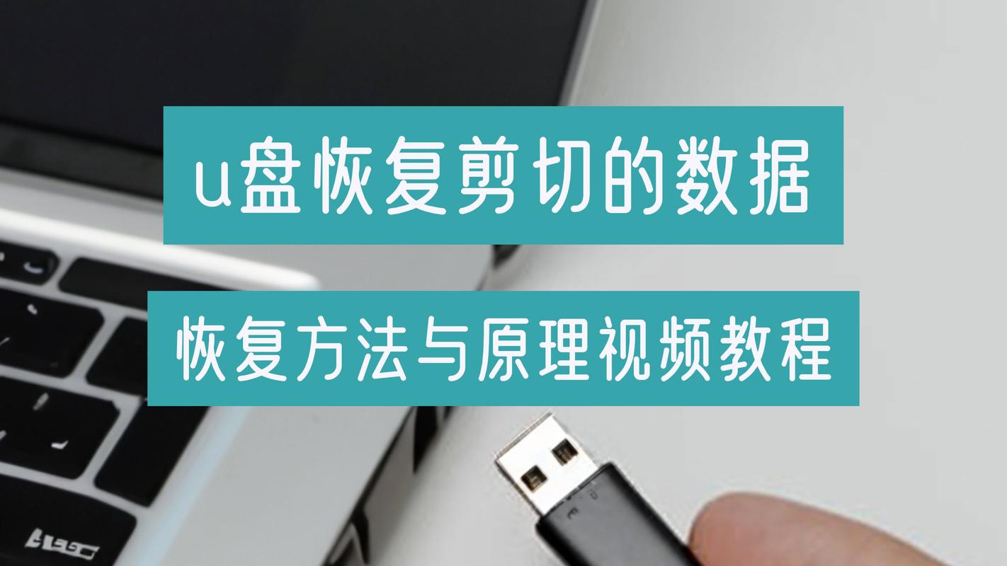 恢复大师免费版破解版,u盘数据恢复大师破解版,小编教你如何恢复u盘数据