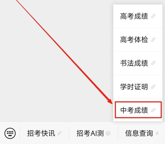 初中考试成绩查询网站(初中期末考试成绩在哪查)